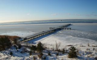 Jurata Molo - 03-02-2026 09:06