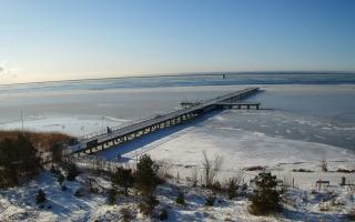 Jurata Molo - 03-02-2026 09:22