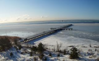 Jurata Molo - 03-02-2026 09:38