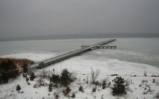 Jurata Molo - 05-02-2026 11:57