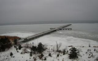 Jurata Molo - 05-02-2026 12:03