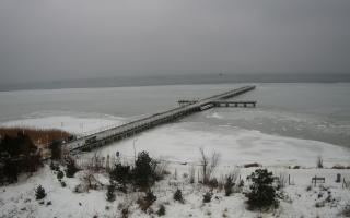 Jurata Molo - 05-02-2026 12:08