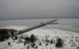 Jurata Molo - 05-02-2026 12:13