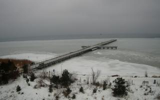 Jurata Molo - 05-02-2026 12:19