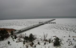 Jurata Molo - 06-02-2026 07:50