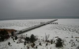 Jurata Molo - 06-02-2026 08:01