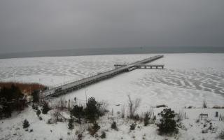 Jurata Molo - 06-02-2026 08:06