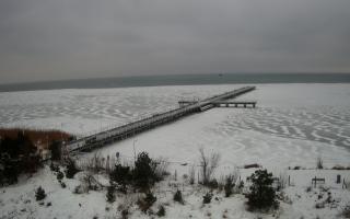 Jurata Molo - 06-02-2026 14:49