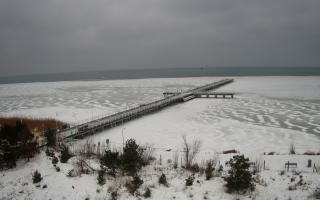 Jurata Molo - 07-02-2026 06:34