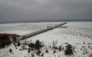 Jurata Molo - 07-02-2026 06:50