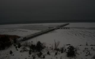 Jurata Molo - 09-02-2026 05:56