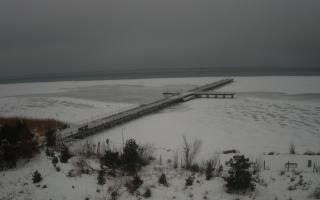 Jurata Molo - 09-02-2026 06:01