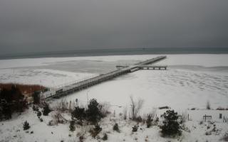 Jurata Molo - 09-02-2026 06:07