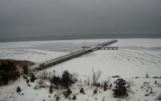 Jurata Molo - 09-02-2026 12:23