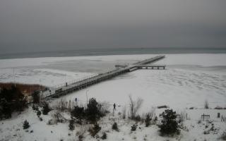 Jurata Molo - 09-02-2026 12:33