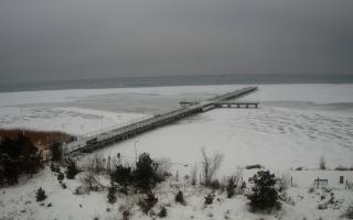 Jurata Molo - 09-02-2026 12:50