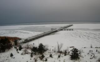 Jurata Molo - 10-02-2026 07:27