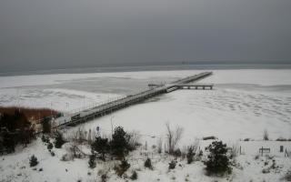 Jurata Molo - 10-02-2026 07:32