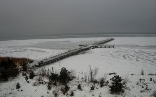 Jurata Molo - 10-02-2026 07:37