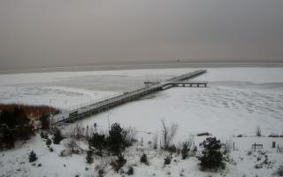 Jurata Molo - 10-02-2026 07:48