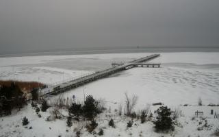 Jurata Molo - 10-02-2026 07:54