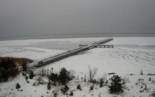 Jurata Molo - 10-02-2026 07:59