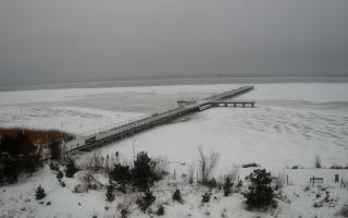 Jurata Molo - 10-02-2026 08:04