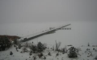 Jurata Molo - 11-02-2026 09:30