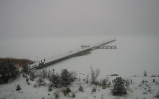 Jurata Molo - 11-02-2026 09:35