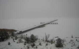 Jurata Molo - 11-02-2026 09:41