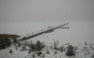 Jurata Molo - 11-02-2026 09:51