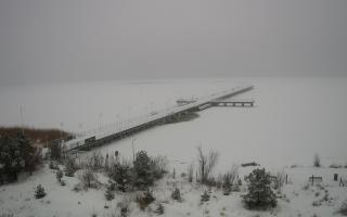 Jurata Molo - 11-02-2026 09:57