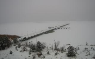 Jurata Molo - 11-02-2026 10:02