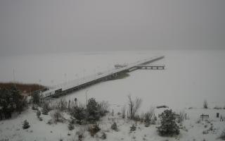 Jurata Molo - 11-02-2026 10:08