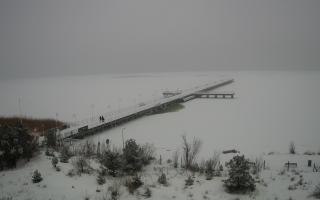 Jurata Molo - 11-02-2026 10:13