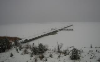 Jurata Molo - 11-02-2026 10:18