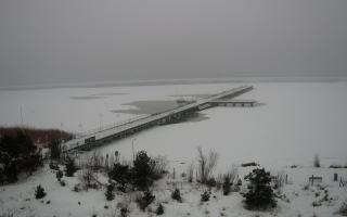 Jurata Molo - 12-02-2026 11:38