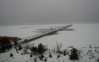 Jurata Molo - 12-02-2026 11:49