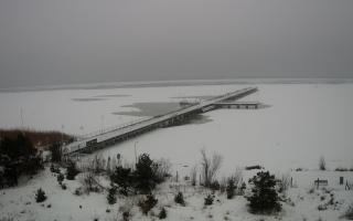 Jurata Molo - 12-02-2026 12:00