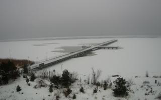 Jurata Molo - 12-02-2026 12:05