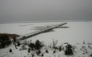 Jurata Molo - 12-02-2026 12:11