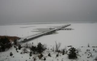 Jurata Molo - 12-02-2026 12:16