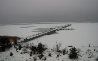 Jurata Molo - 12-02-2026 12:21