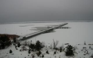 Jurata Molo - 12-02-2026 12:27