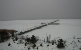 Jurata Molo - 17-02-2026 11:48