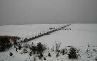 Jurata Molo - 17-02-2026 11:59