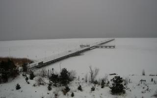 Jurata Molo - 17-02-2026 12:10