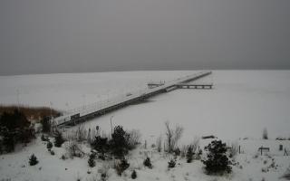 Jurata Molo - 17-02-2026 12:15