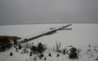 Jurata Molo - 18-02-2026 13:03