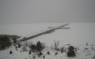 Jurata Molo - 18-02-2026 13:09